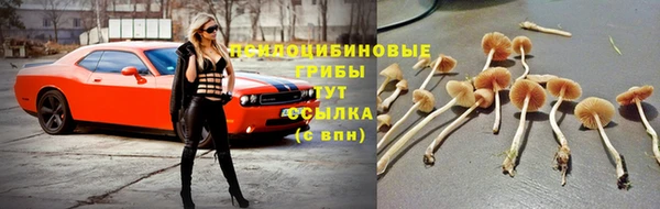 кокаин колумбия Балабаново