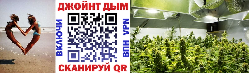 купить наркоту  Волчанск  Канабис план 